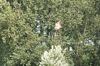 DSC08872-01