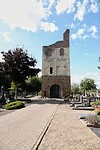 DSC08866-01
