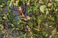 DSC08845-01