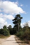 DSC08842-01