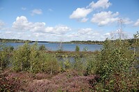 DSC08838-01