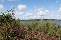 DSC08841-01