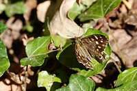 DSC09057-01