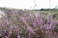 DSC09040-01