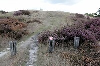 DSC09046-01