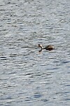 DSC09025-01