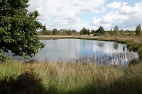 DSC09019-01