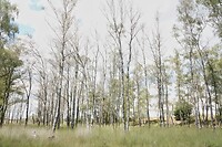 DSC09008-01