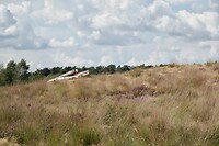 DSC09012-01