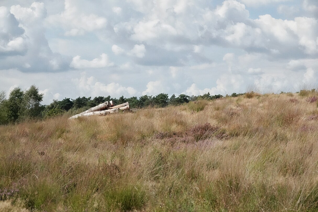 DSC09012-01