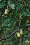 DSC09004-01