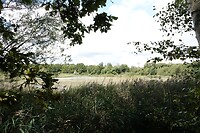 DSC08999-01