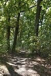 DSC08997-01