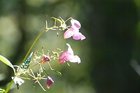 DSC08994-01