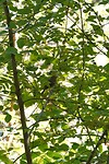 DSC08990-01