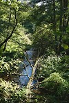 DSC08986-01