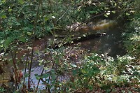 DSC08983-01