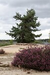 DSC08970-01
