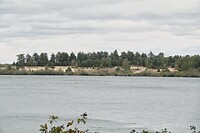 DSC08966-01