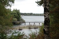 DSC08963-01