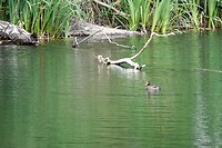 DSC08960-01