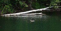 DSC08954-01
