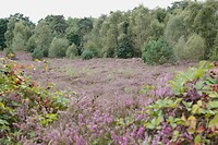 DSC08916-01