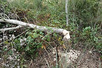 DSC08914-01