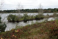 DSC08907-01