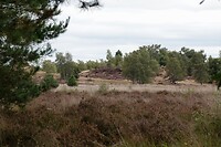 DSC08903-01
