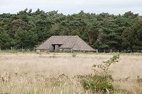 DSC08897-01