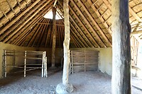 DSC09082-01