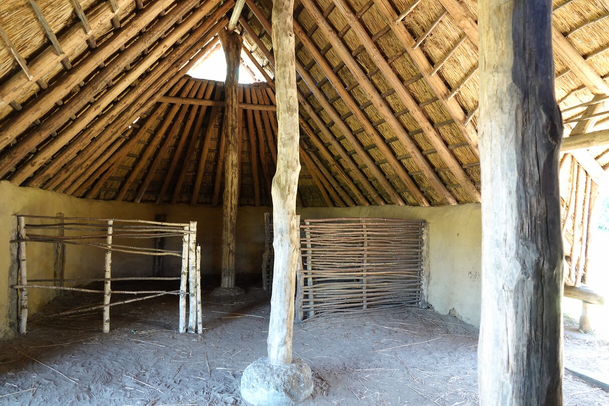 DSC09082-01