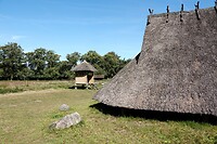 DSC09089-01