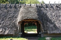 DSC09090-01