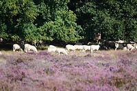 DSC09097-01