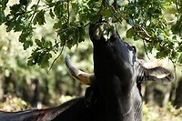 DSC09104-01