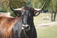 DSC09117-01