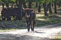 DSC09122-01