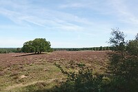 DSC09129-01