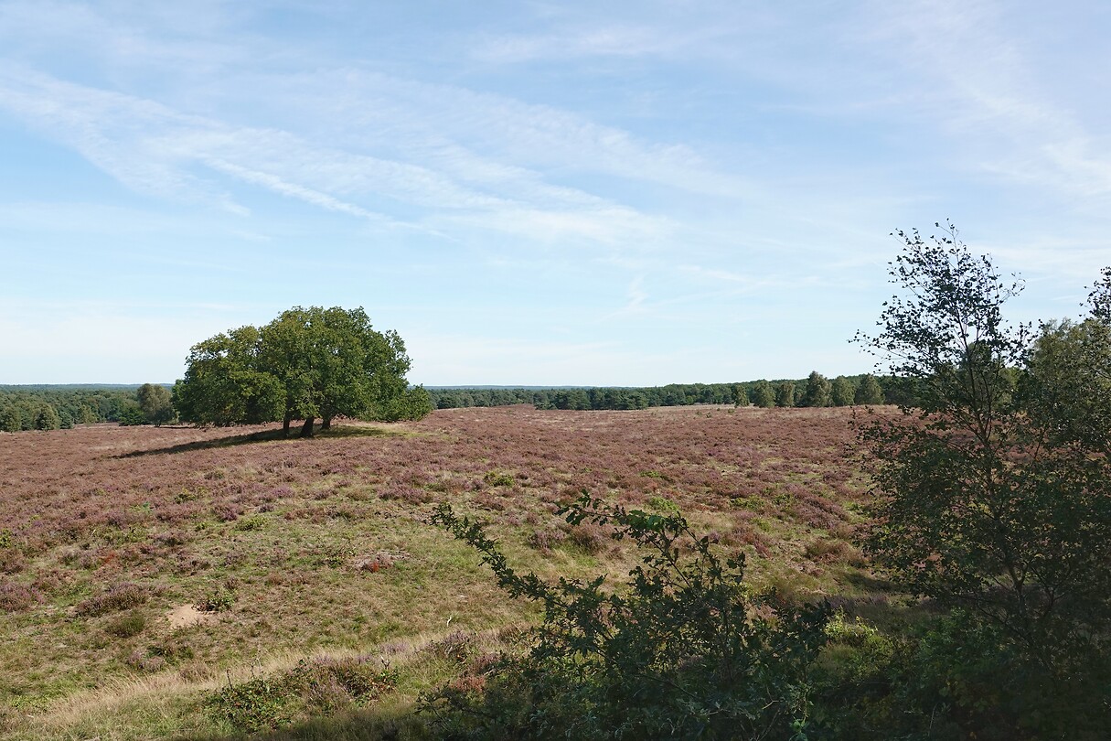 DSC09129-01