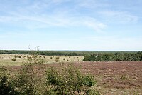 DSC09130-01