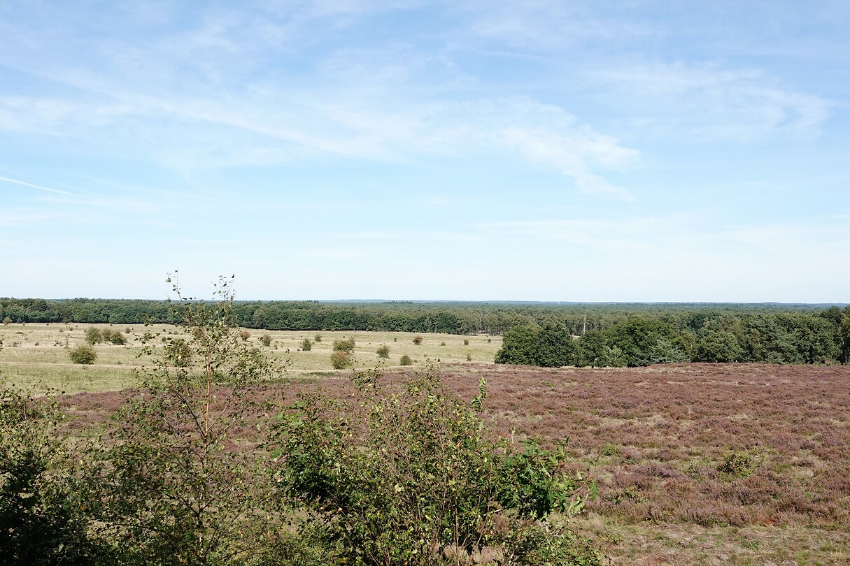 DSC09130-01