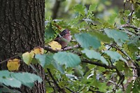 DSC09147-01