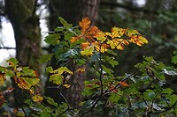 DSC09157-02
