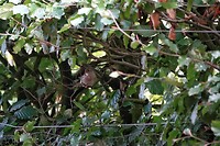 DSC09163-01