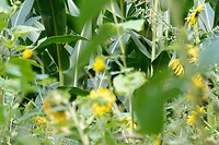 DSC09167-01