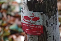 DSC09181-01
