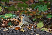 DSC09190-01