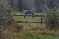 DSC09197-01